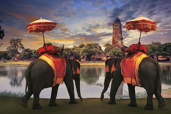 Elephant taxis, Ayutthaya