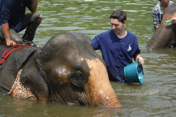 baanchang elephant mahout training bathing chiang mai