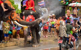 songkran thai new year water festival lephants